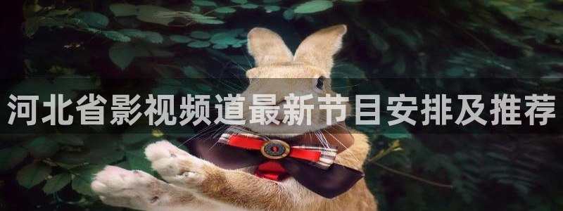 神马电影院我不卡手机版