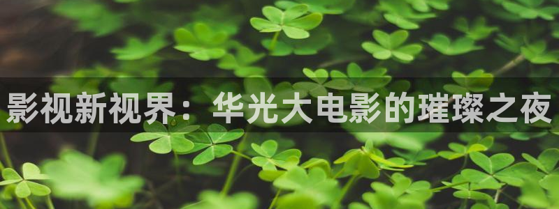 韩国电影神马网