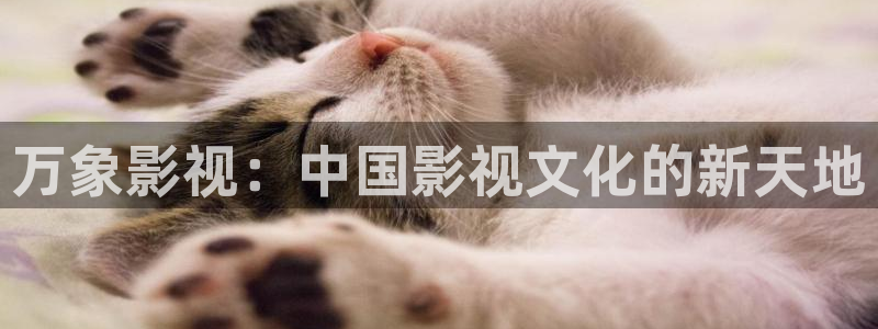神马影院第九超神影院