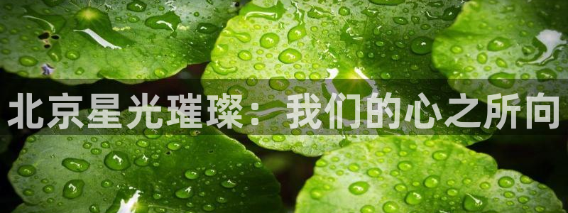神马秋霞影院