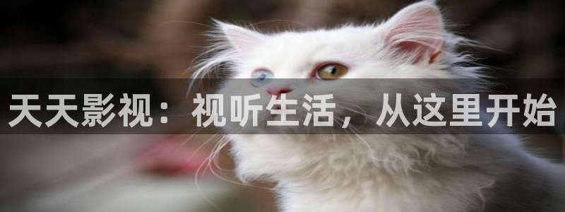 神马马圈电影