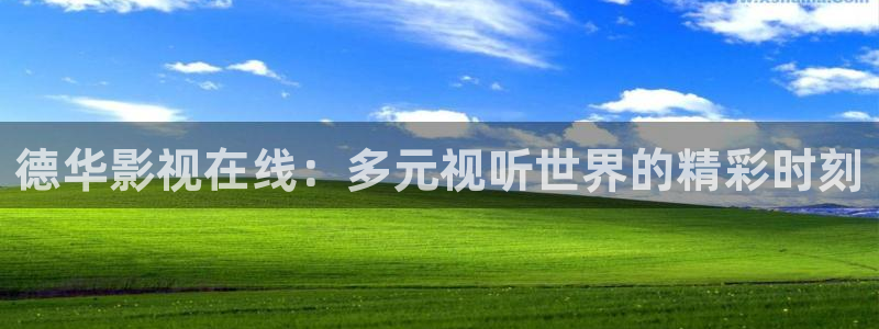 神马影院手机在线理论片