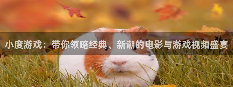 神马电视电影院