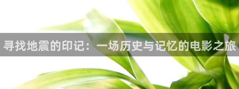 日韩电影神马影院