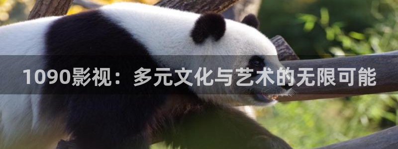新视觉神马电影网