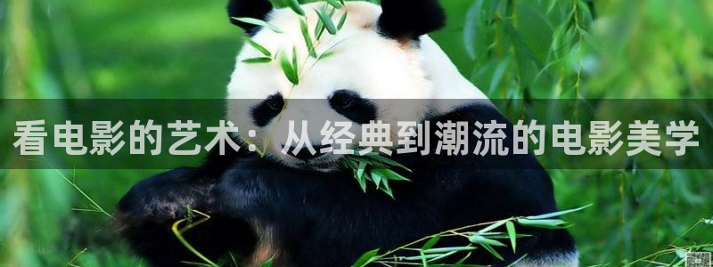 无敌神马影院在线