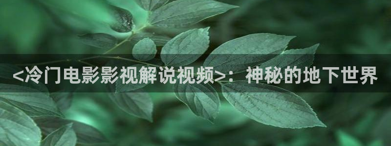 神马影院第九神