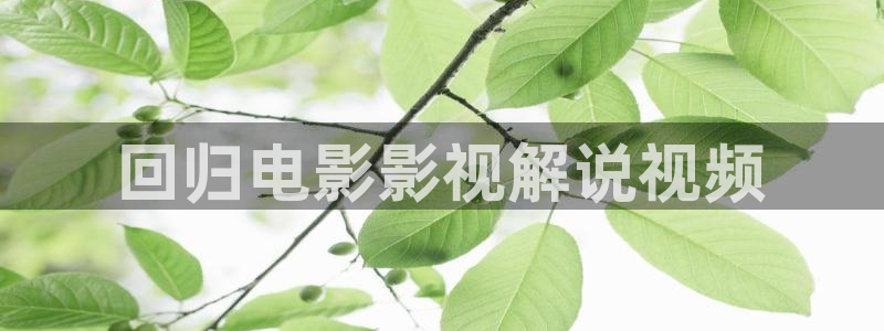神马影院电影影院：回归电影影视解说视频
