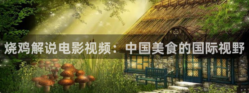 神马888不卡：烧鸡解说电影视频：中国美食的国际视野