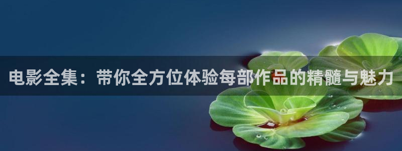 亚洲神马影院大全：电影全集：带你全方位体验每部作品的精髓与魅力