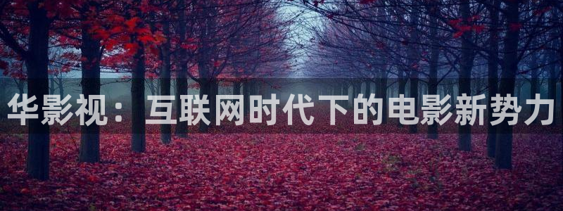 神马我不卡电影在线播放：华影视：互联网时代下的电影新势力