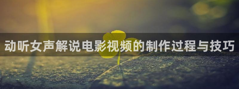 神马手机在线电影：动听女声解说电影视频的制作过程与技巧