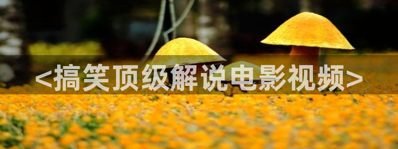 神马电影免费高清完整版：<搞笑顶级解说电影视频>