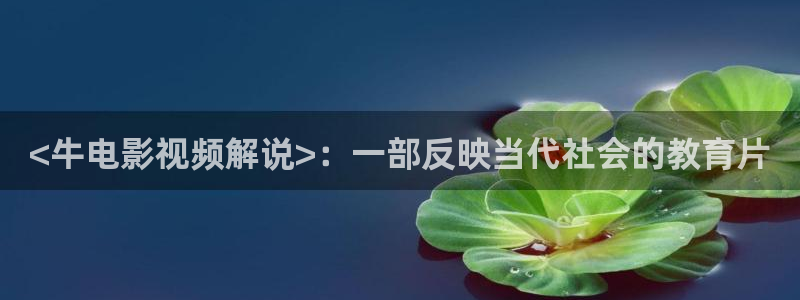 午夜在线看神马影院：<牛电影视频解说>：一部反映当代社会的教育片