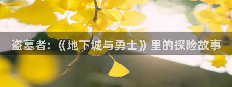 神马光棍伦理：盗墓者: 《地下城与勇士》里的探险故事