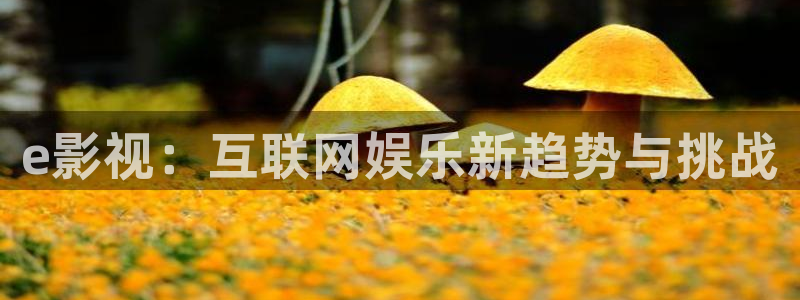 神马影院桥矿：e影视：互联网娱乐新趋势与挑战