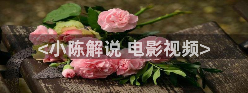 神马电影电视剧大全：<小陈解说 电影视频>
