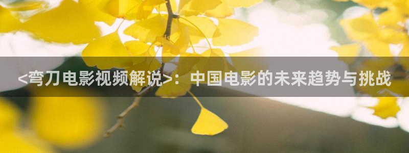 神马电影免费在线观看：<弯刀电影视频解说>：中国电影的未来趋势与挑战