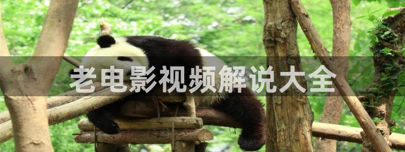 神马影院97：老电影视频解说大全