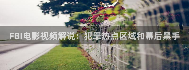 大地高清神马电影网：FBI电影视频解说：犯罪热点区域和幕后黑手