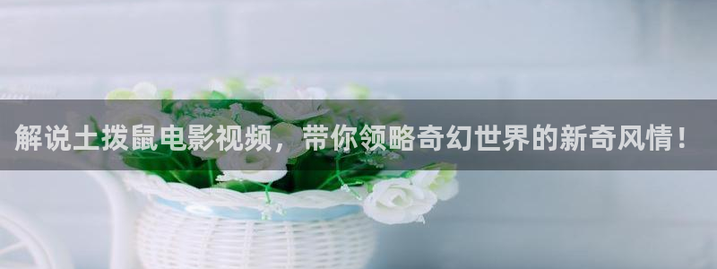 神马影院,黄色：解说土拨鼠电影视频，带你领略奇幻世界的新奇风情！