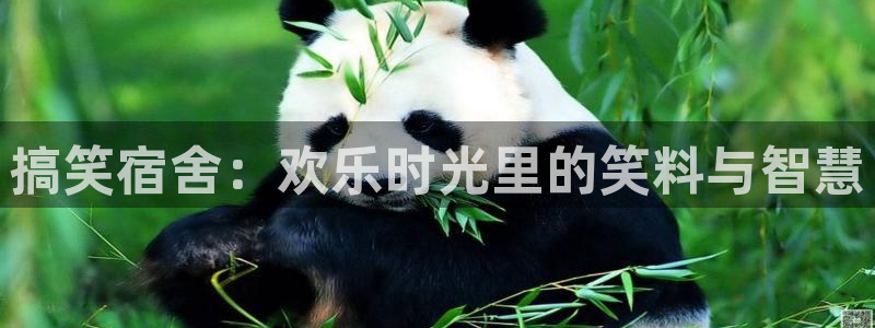 国产电影神马电影：搞笑宿舍：欢乐时光里的笑料与智慧