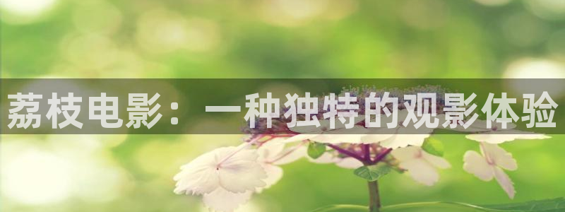 神马电影私人：荔枝电影：一种独特的观影体验