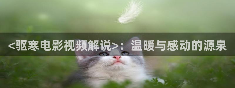 神马电影网院：<驱寒电影视频解说>：温暖与感动的源泉
