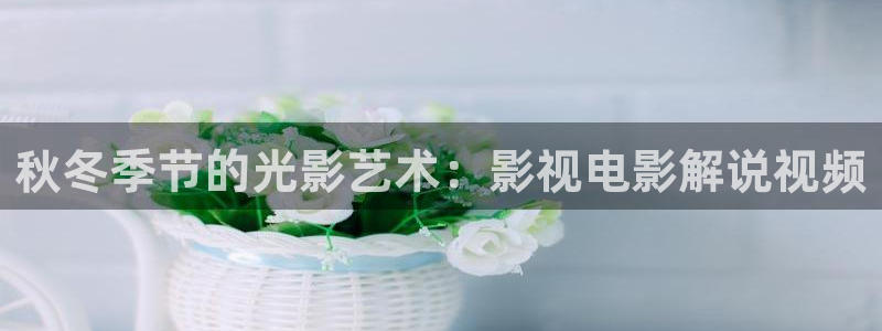 神马电影看：秋冬季节的光影艺术：影视电影解说视频