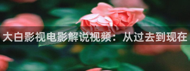 神马不卡在线观看：大白影视电影解说视频：从过去到现在