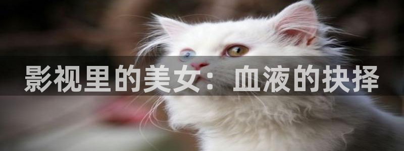 神马第九七影院：影视里的美女：血液的抉择