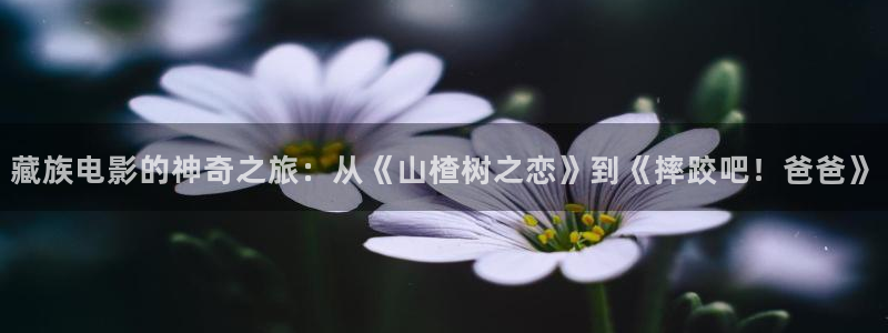 神马影院6080新视觉：藏族电影的神奇之旅：从《山楂树之恋》到《摔跤吧！爸爸》