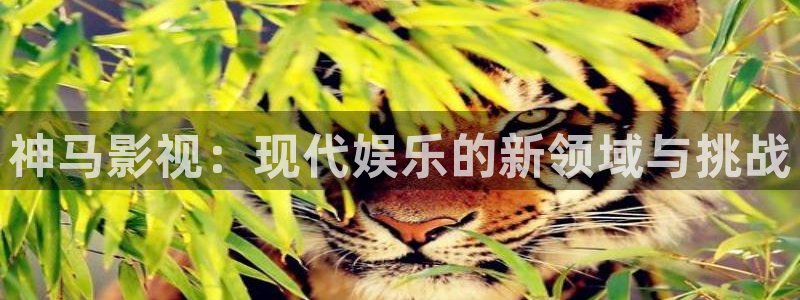 久久久久神马视频：神马影视：现代娱乐的新领域与挑战
