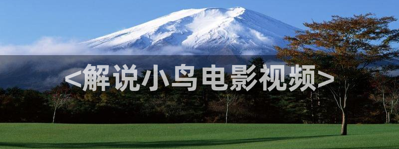 神马电影院达达兔影院综合：<解说小鸟电影视频>