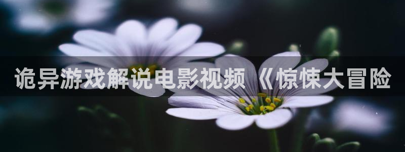 神马电影不卡伦理：诡异游戏解说电影视频 《惊悚大冒险