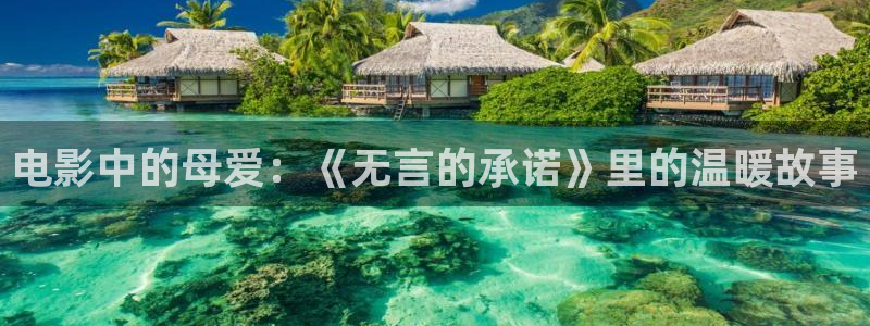 神马影院观看视频：电影中的母爱：《无言的承诺》里的温暖故事