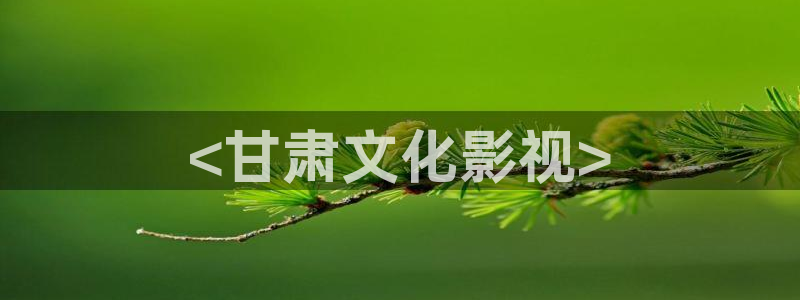 2012神马电影免费版完整版观看：<甘肃文化影视>