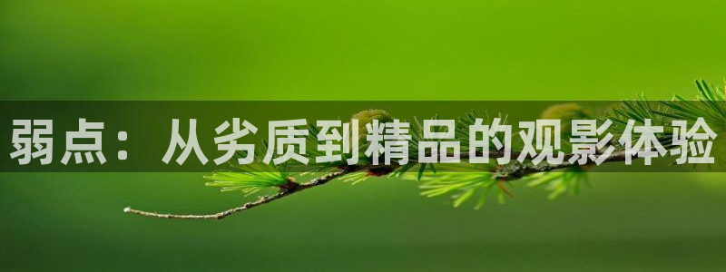 神马午夜影院在线看：弱点：从劣质到精品的观影体验