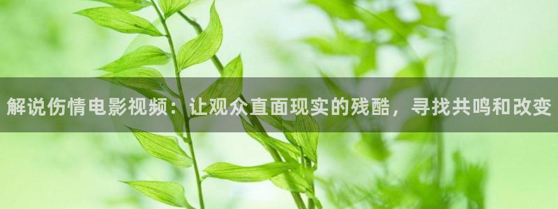 神马影院食物链：解说伤情电影视频：让观众直面现实的残酷，寻找共鸣和改变