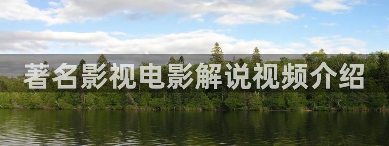 41312神马电影：著名影视电影解说视频介绍