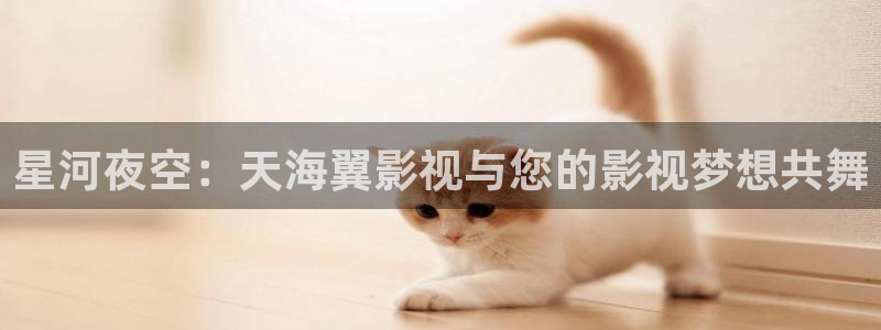 飘花电影网神马：星河夜空：天海翼影视与您的影视梦想共舞