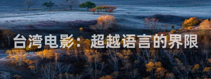 神马达达兔电影免费播放：台湾电影：超越语言的界限