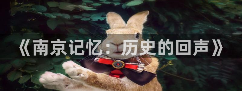 锦绣未央神马影院：《南京记忆：历史的回声》