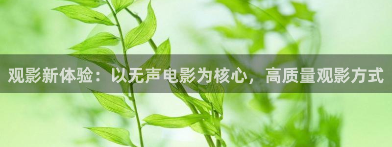 原神马福利影院：观影新体验：以无声电影为核心，高质量观影方式
