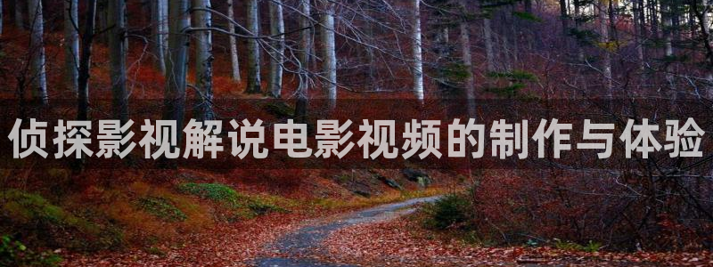 神马影院smyy：侦探影视解说电影视频的制作与体验