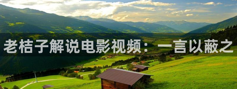 神马夜电影：老桔子解说电影视频：一言以蔽之