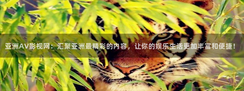 妈妈的朋友在线观看神马电影：亚洲AV影视网：汇聚亚洲最精彩的内容，让你的娱乐生活更加丰富和便捷！