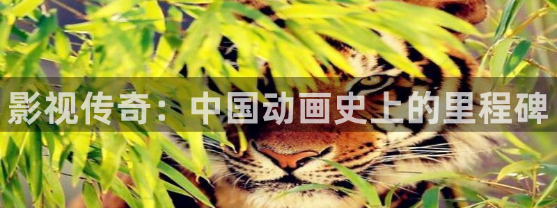 神马影院院选：影视传奇：中国动画史上的里程碑