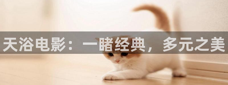 神马达达兔手机在线